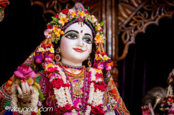 Daily Darshan