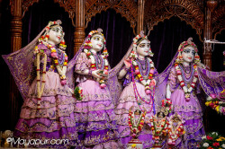Daily Darshan