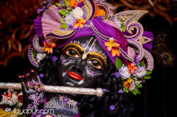 Daily Darshan