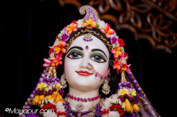 Daily Darshan