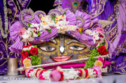 Daily Darshan