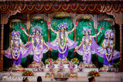 Daily Darshan