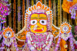 Daily Darshan
