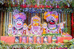 Daily Darshan