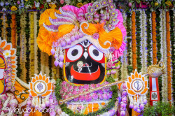 Daily Darshan