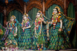 Daily Darshan