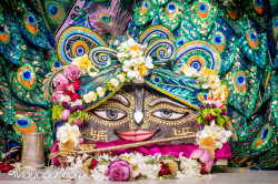 Daily Darshan