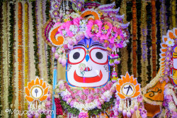 Daily Darshan