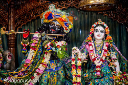 Daily Darshan