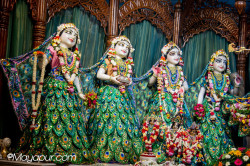 Daily Darshan