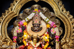 Daily Darshan