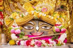 Daily Darshan