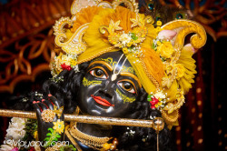 Daily Darshan