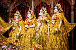 Daily Darshan