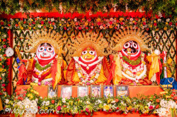Daily Darshan