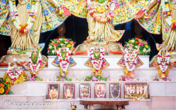 Daily Darshan