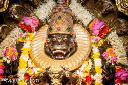 Daily Darshan