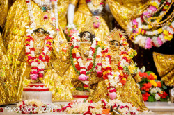 Daily Darshan