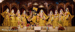 Daily Darshan