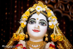 Daily Darshan