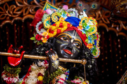 Daily Darshan