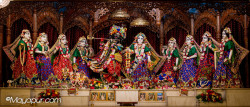 Daily Darshan