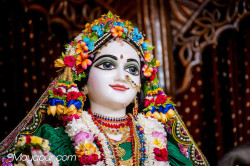 Daily Darshan