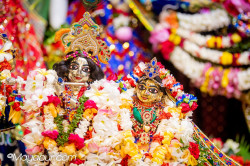 Daily Darshan