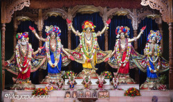 Daily Darshan