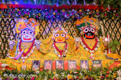 Daily Darshan