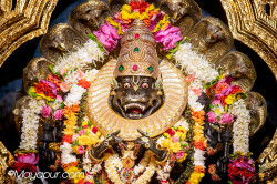Daily Darshan