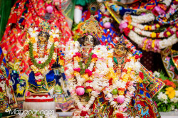 Daily Darshan