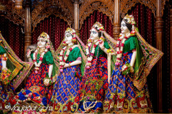 Daily Darshan