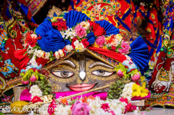 Daily Darshan