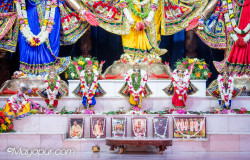 Daily Darshan