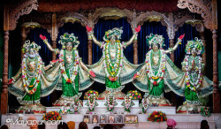 Daily Darshan