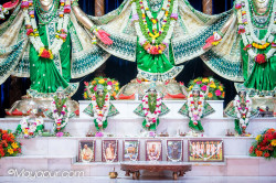 Daily Darshan