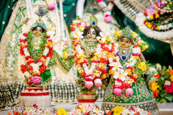 Daily Darshan