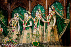 Daily Darshan