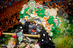 Daily Darshan