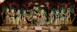Daily Darshan