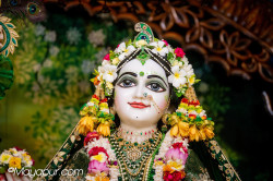 Daily Darshan