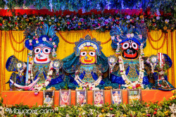 Daily Darshan