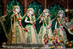 Daily Darshan