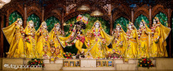 Daily Darshan