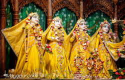 Daily Darshan
