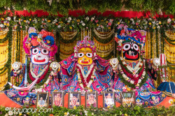 Daily Darshan