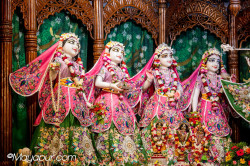Daily Darshan