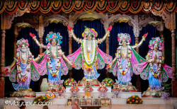 Daily Darshan