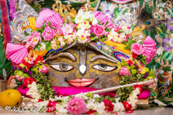 Daily Darshan